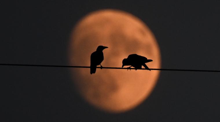  La ‘Luna de Ciervo’ se podrá ver en Ecuador del 21 al 22 de julio