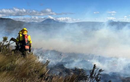  Bomberos controlan incendio que consumió vegetación en Píntag