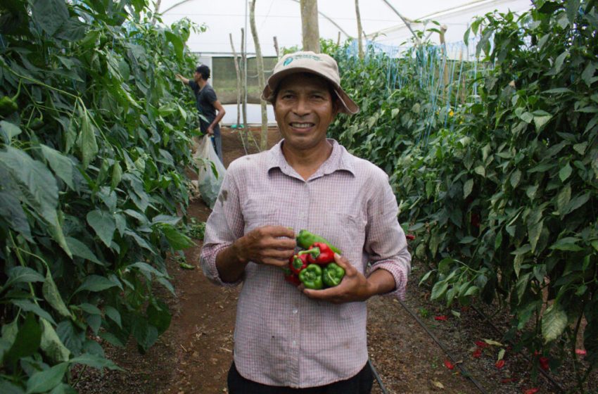  Seguridad alimentaria: El reto de comer en Galápagos