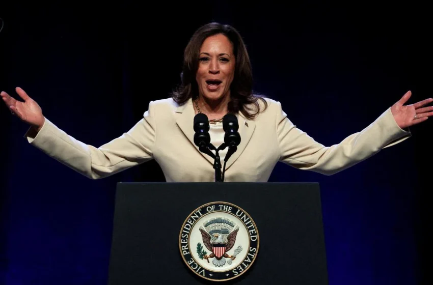  Las 6 alternativas para los demócratas, en caso de que no elijan a Kamala Harris