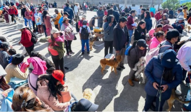  250 mascotas fueron esterilizadas en una jornada gratuita en Guamaní Alto