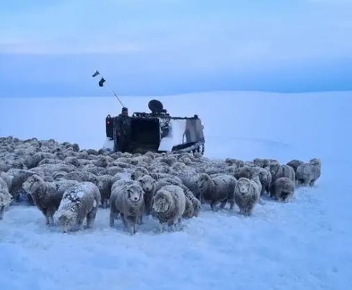  Frío extremo en la Patagonia argentina