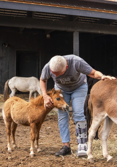  Crece la demanda de animales de granja en miniatura como mascotas