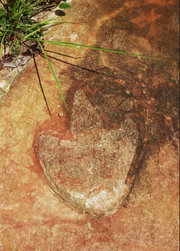  Encuentran huellas de dinosaurio idénticas a ambos lados del Atlántico