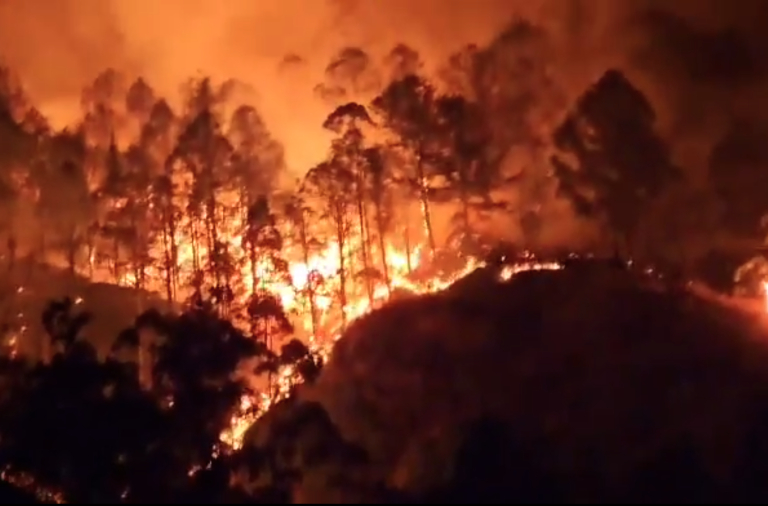  Loja: El cantón Quilanga enfrenta un devastador incendio forestal