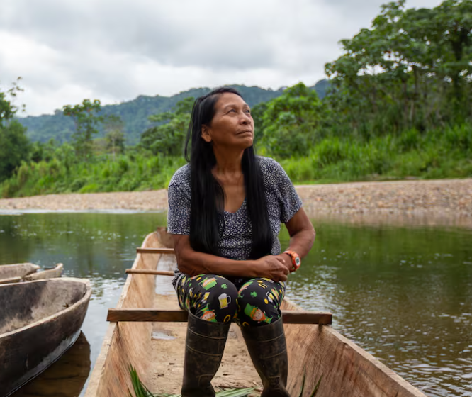  Los Waorani se convierten en águilas para proteger la Amazonia ecuatoriana