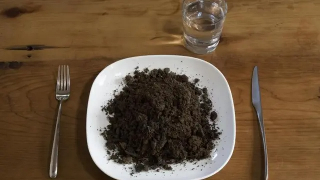  El reto de comer tierra se vuelve viral en TikTok