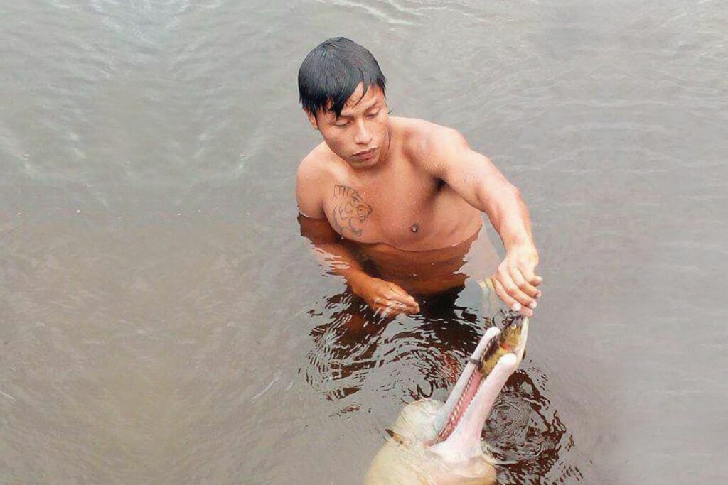  Delfines amazónicos de Ecuador se encuentran en la lista roja