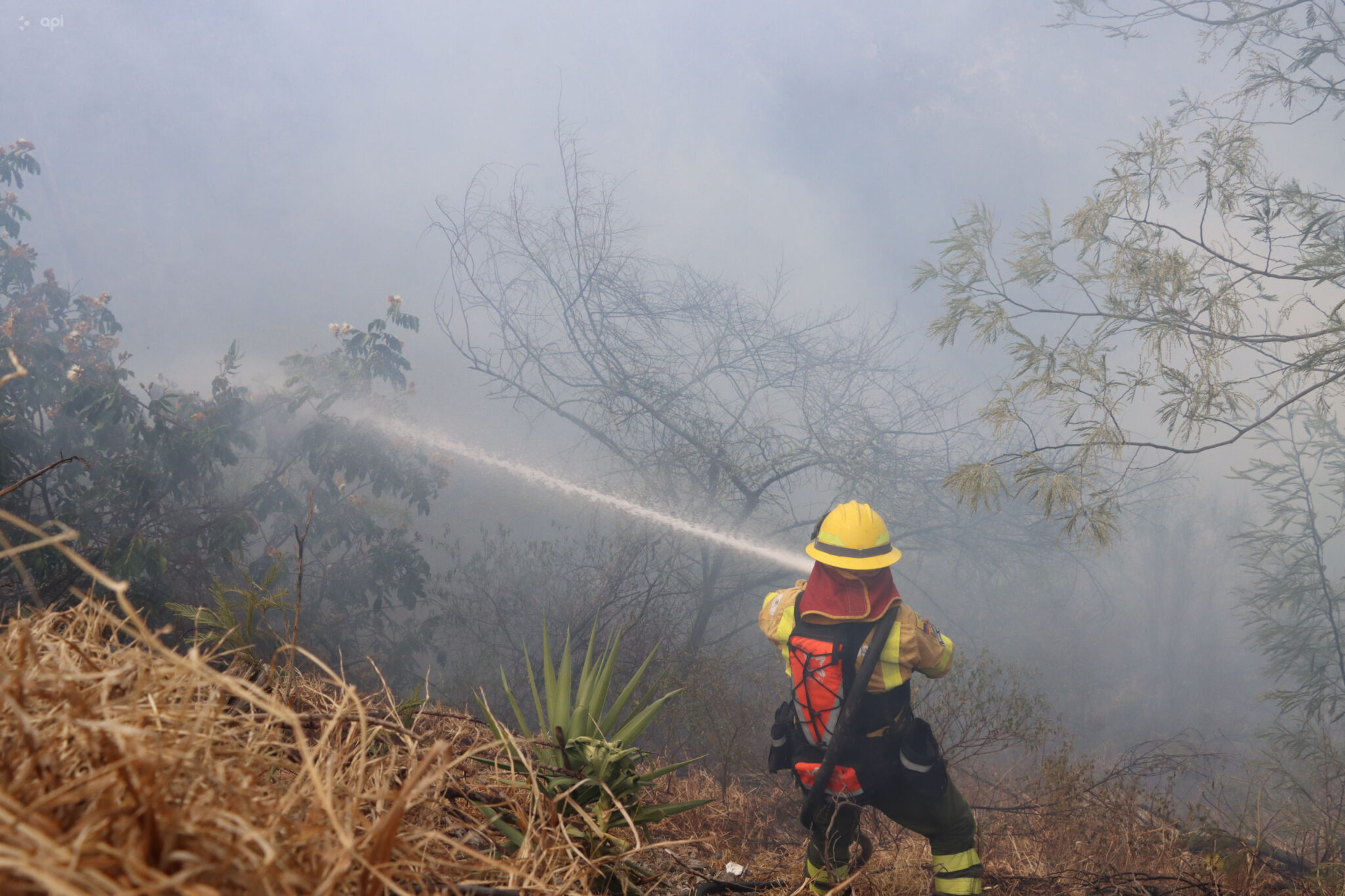  Bomberos investigan si los incendios forestales fueron provocados