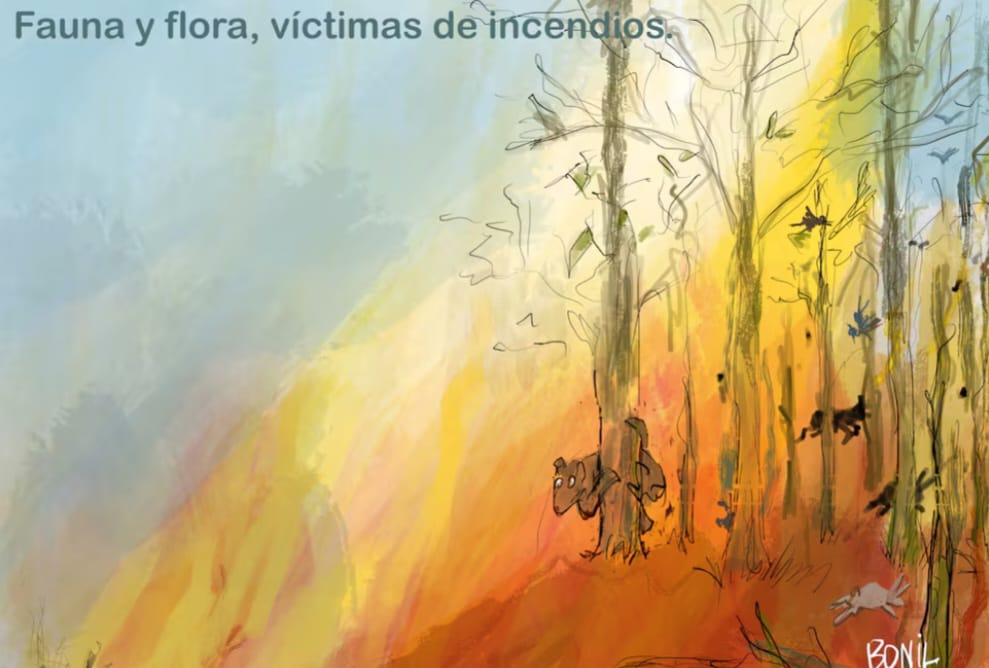  Incendios forestales