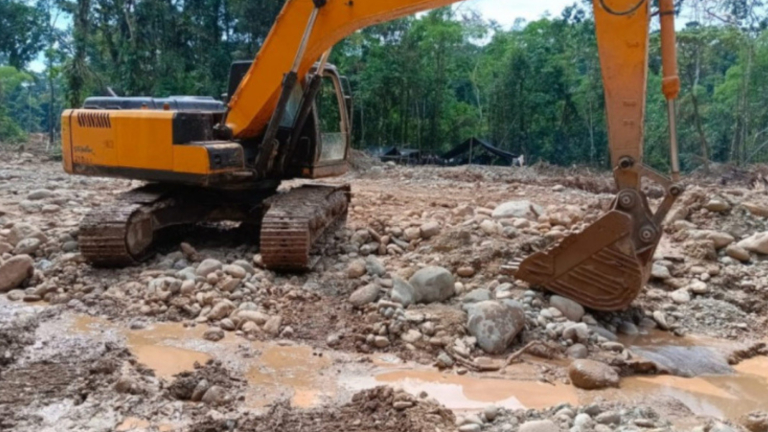  La minería ilegal devoró cerca de 1.500 hectáreas en el río Punino