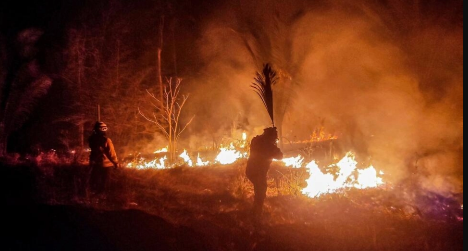  Los incendios arrasan millones de hectáreas en la Amazonia boliviana