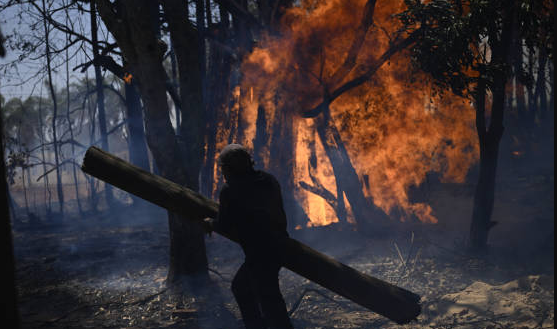  Suramérica bajo fuego: alerta en varios países por incendios forestales