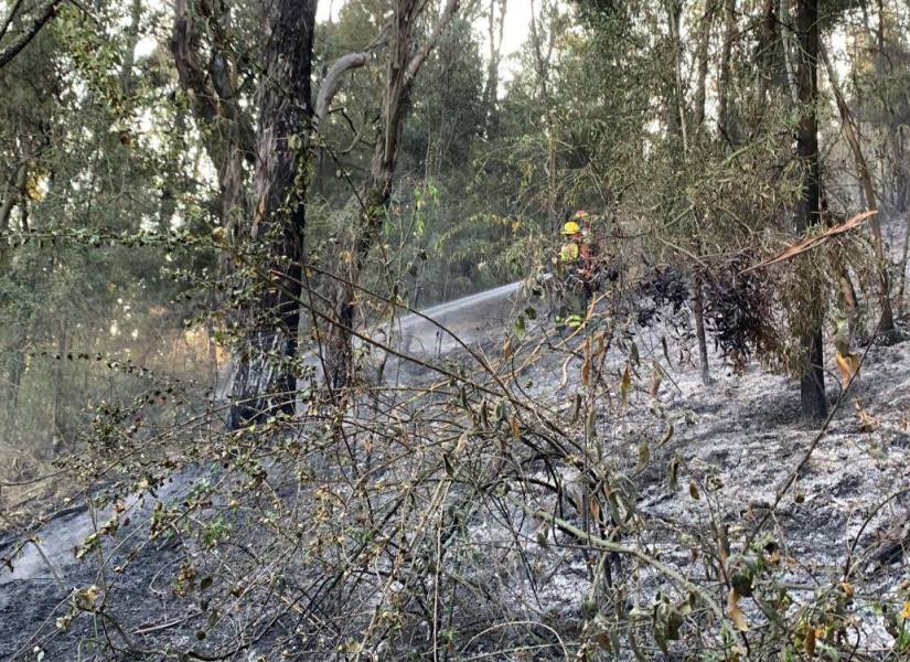  Quito: El incendio forestal en El Panecillo fue controlado