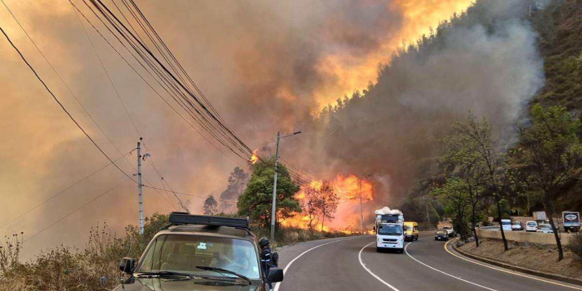  Sería terrorismo: Fiscalía abre investigación previa por incendios en Quito