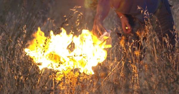  Incendios en Quito: Supuesto pirómano es captado en un video