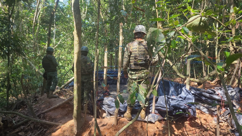  Once bandas operan en las zona de supuestos cultivos de coca