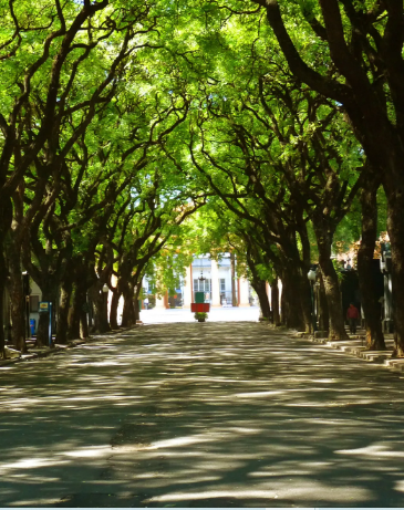  Tres barrios latinoamericanos se encuentran entre los más “cool” del mundo