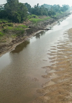  El cambio climático está secando el Amazonas, el mayor río del mundo