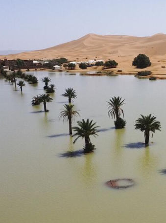  El desierto del Sahara se inunda por primera vez en décadas tras lluvias «históricas»