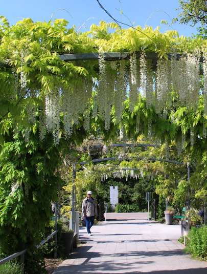  El paraíso personal de Claude Monet en Giverny que inspiró sus grandes obras