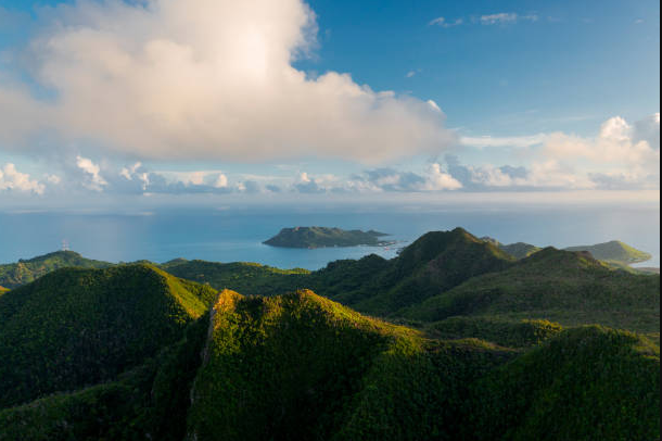  La COP16 llega a Colombia: claves de la Cumbre de Biodiversidad de la ONU