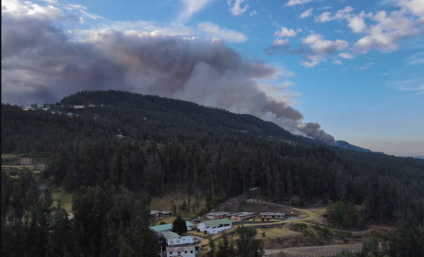  La reforestación tras los incendios en Quito se ejecutará paso a paso