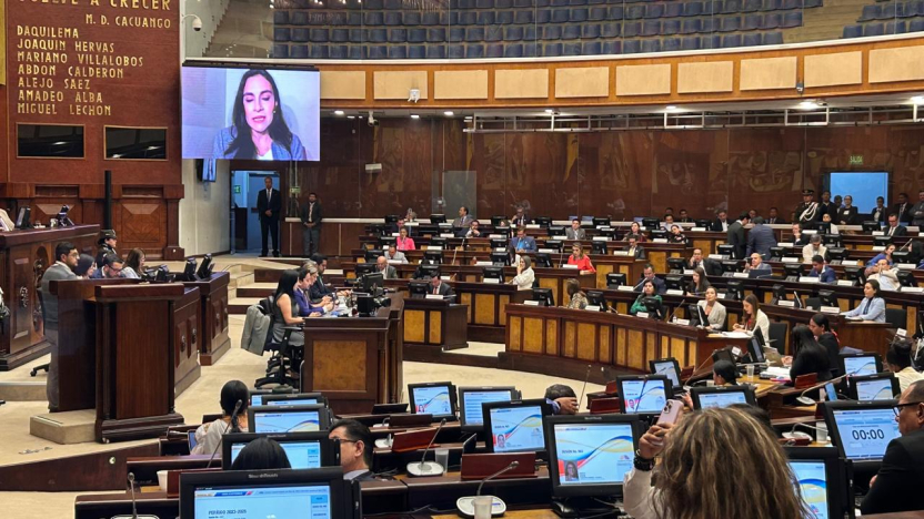  Asamblea desconoce la suspensión de la vicepresidenta Verónica Abad y eleva consulta a Corte Constitucional