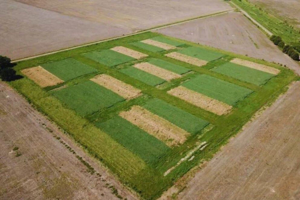  El valor de los ensayos de larga duración: ciencia para el futuro de la agricultura