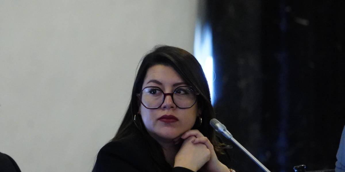  Andrea Arrobo, exministra de Energía, envió un escrito a Fiscalización