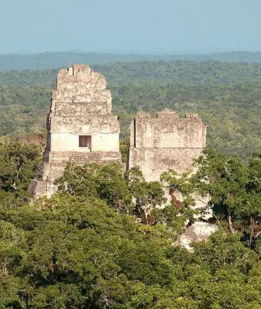  Cómo las ciudades mayas han sobrevivido durante más de un milenio en medio de la selva