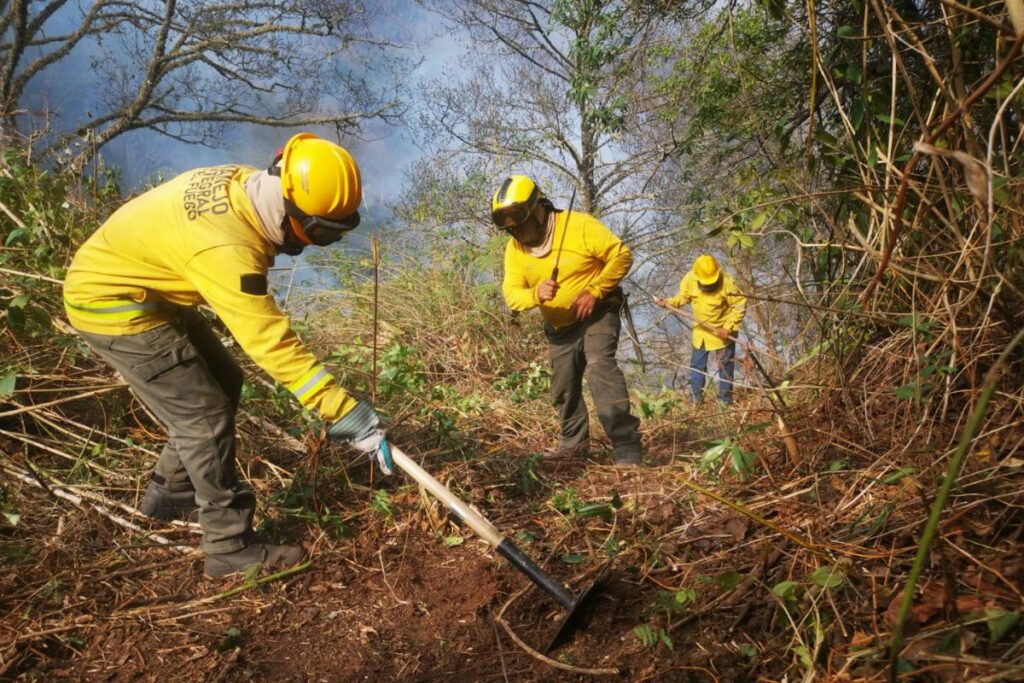  Incendios forestales: Loja y Azuay suman miles de hectáreas quemadas