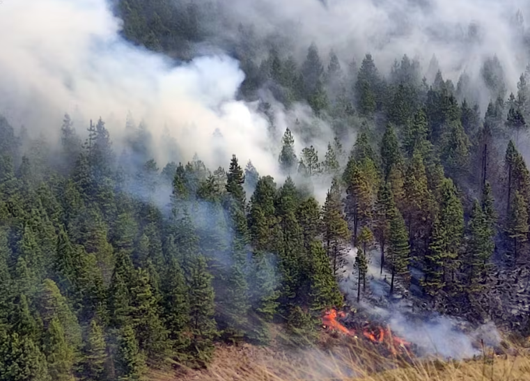  Gobierno agradece a Perú por helicópteros para  combatir incendios