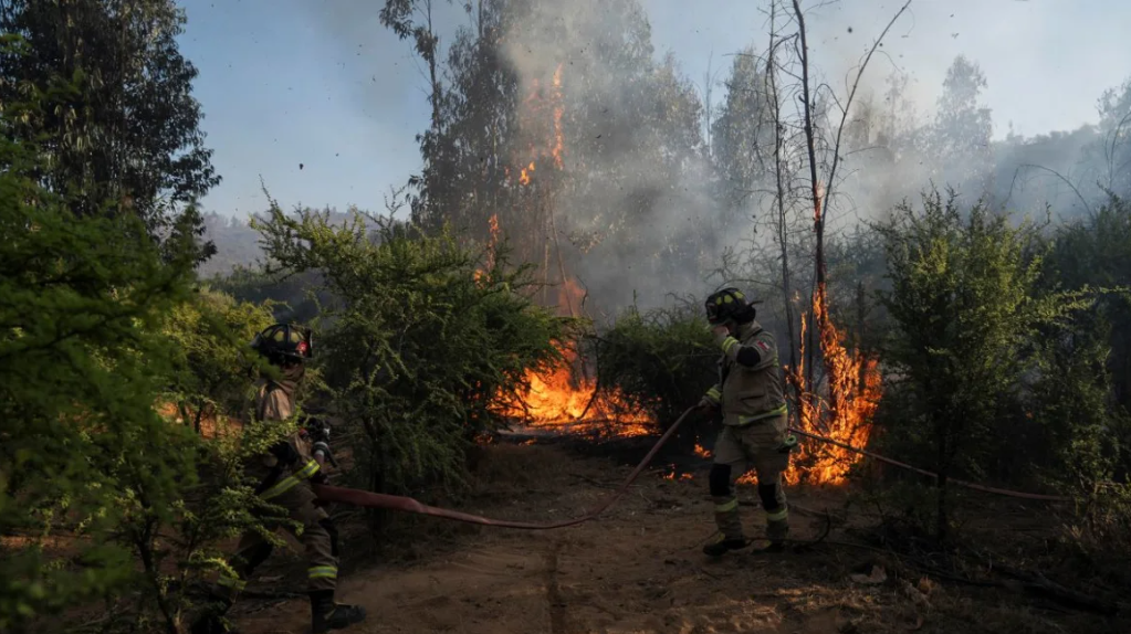  Chile declara alerta roja en cinco comunas por incendios forestales