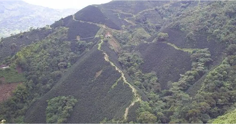  Un avión con diez personas desaparece en noroeste de Colombia