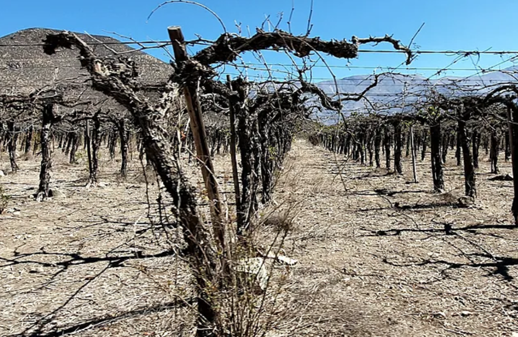  Megasequías: científicos auguran periodos sin lluvias más largos y severos